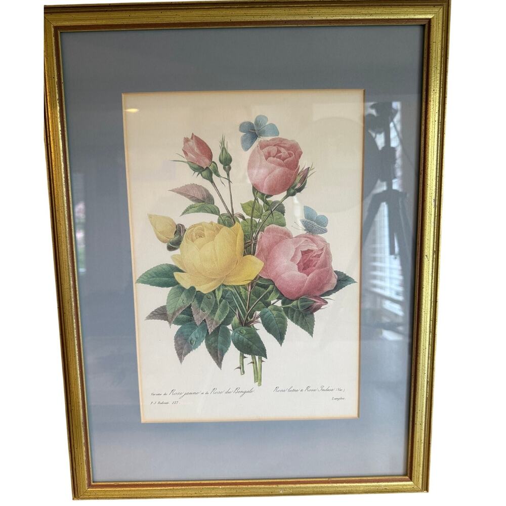 Floral Botanical Framed Print Roses by Pierre-Joseph Redoute